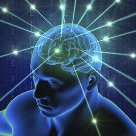 CEREBRO.jpg